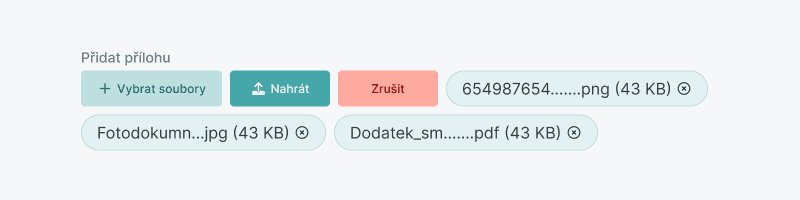 Ukázka Fileupload – Fileupload Adv Chip