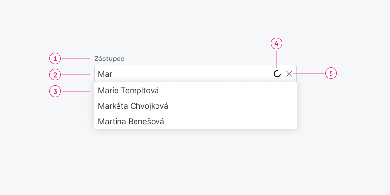 Ukázka Autocomplete – Autocomplete Ovr